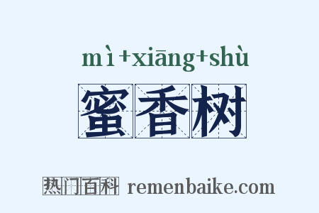 蜜香树是什么意思的图片